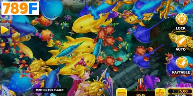 Pirates Fishing biến mỗi chiến thắng thành kho báu cảm xúc Pirates Fishing biến mỗi chiến thắng thành kho báu cảm xúc